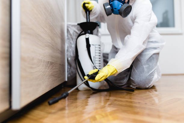 Best Residential Pest Control  in Wallingford Center, CT