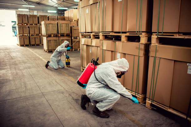 Best Best Pest Control Companies  in Wallingford Center, CT