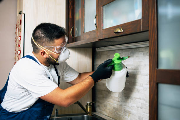 Wildlife Control Services in Wallingford Center, CT