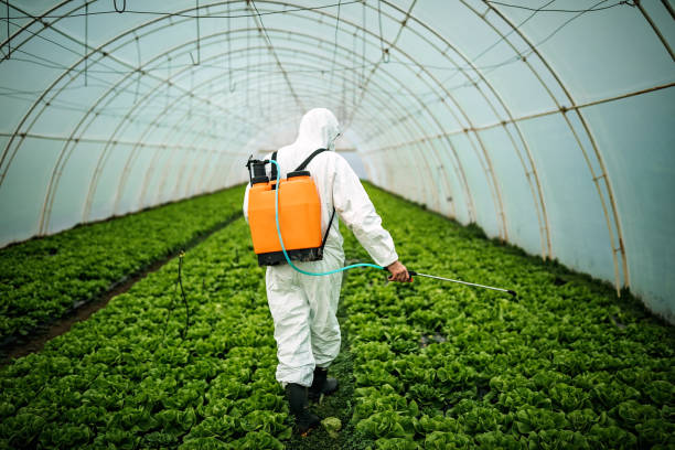Best Affordable Pest Control Services  in Wallingford Center, CT