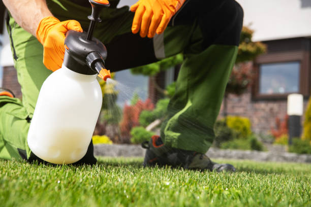 Best Emergency Pest Control  in Wallingford Center, CT