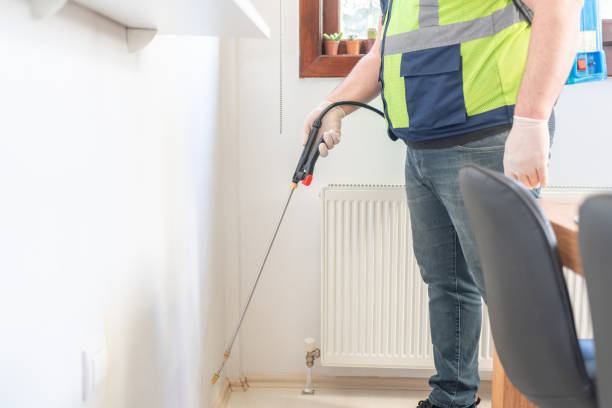 Best Wildlife Control Services  in Wallingford Center, CT