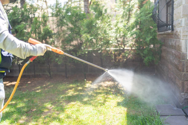 Wallingford Center, CT Pest Control Company