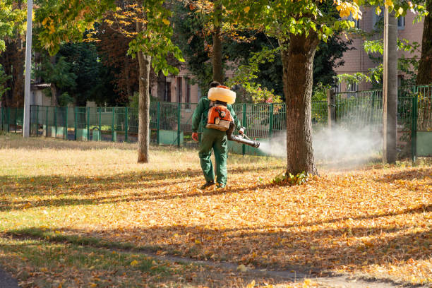 Best Bird Control  in Wallingford Center, CT