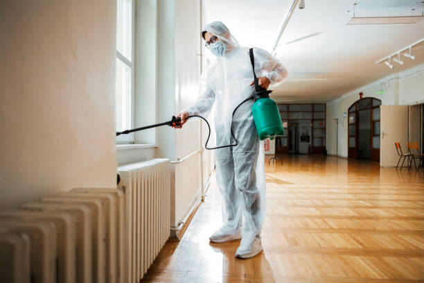 Best Flea Control Services  in Wallingford Center, CT